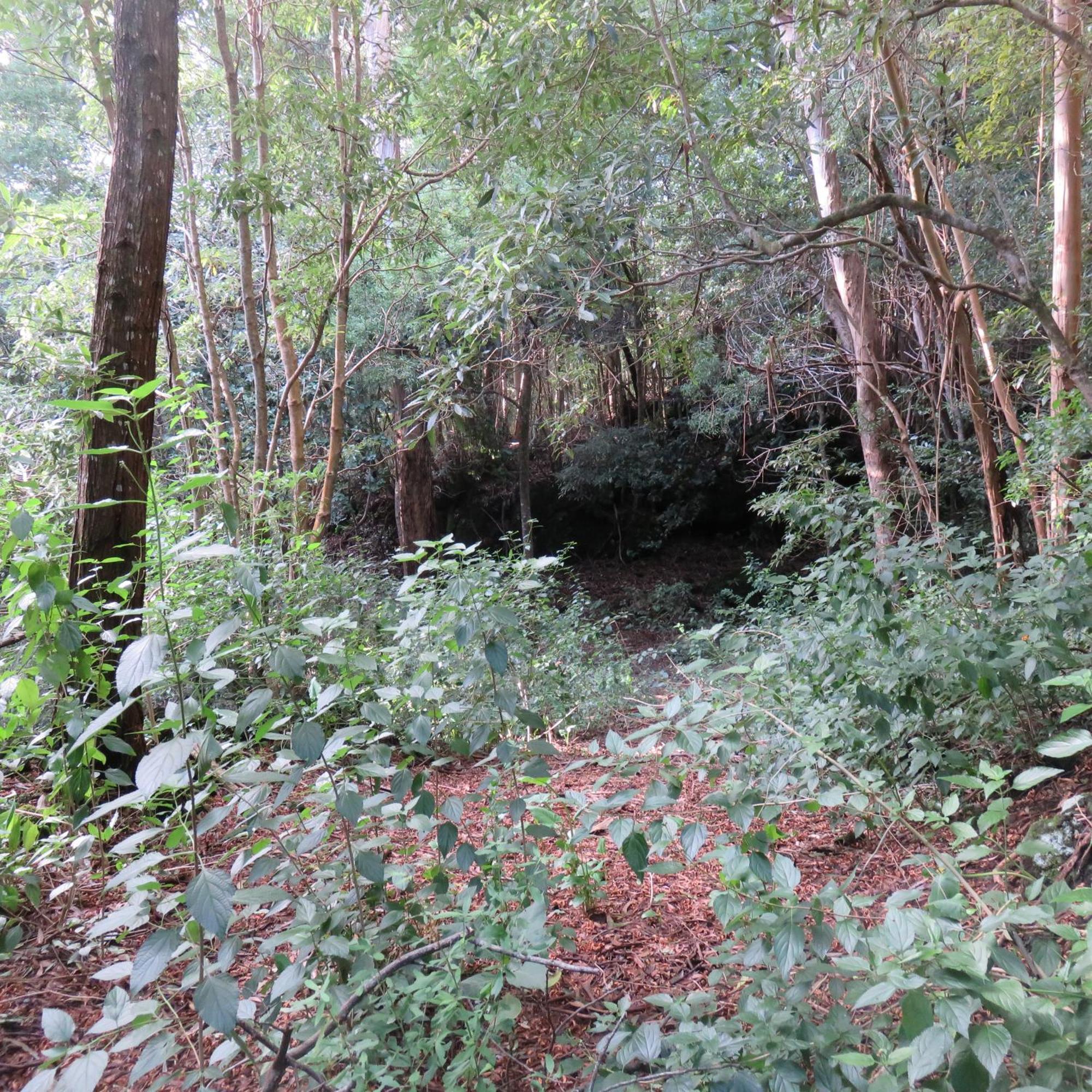 Cabanas Da Viscondessa Urzelina Luaran gambar